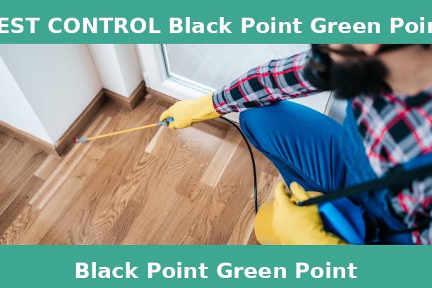 PEST CONTROL Black Point Green Point